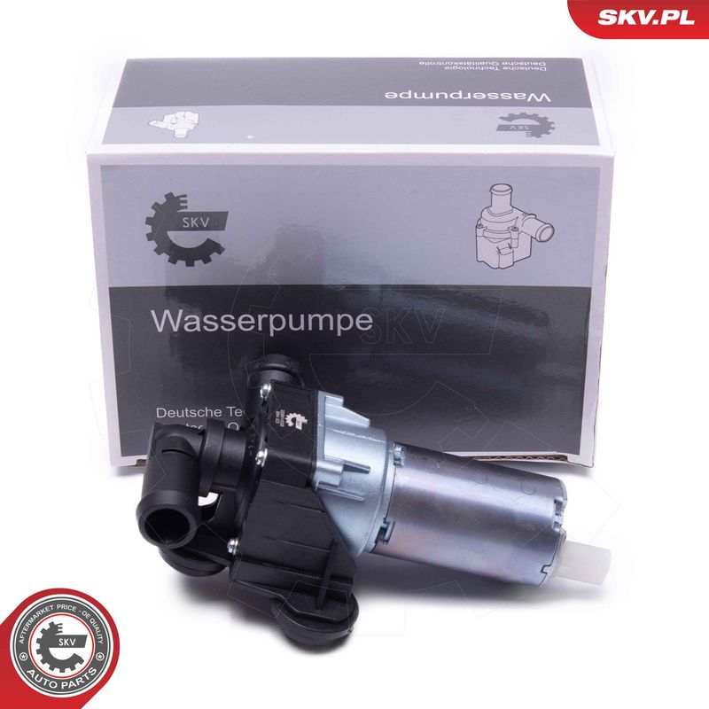 ESEN SKV 22SKV035 Auxiliary Water Pump (cooling water circuit)