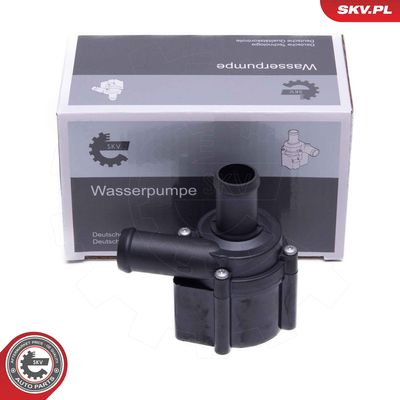 Auxiliary Water Pump (cooling water circuit) ESEN SKV 22SKV061