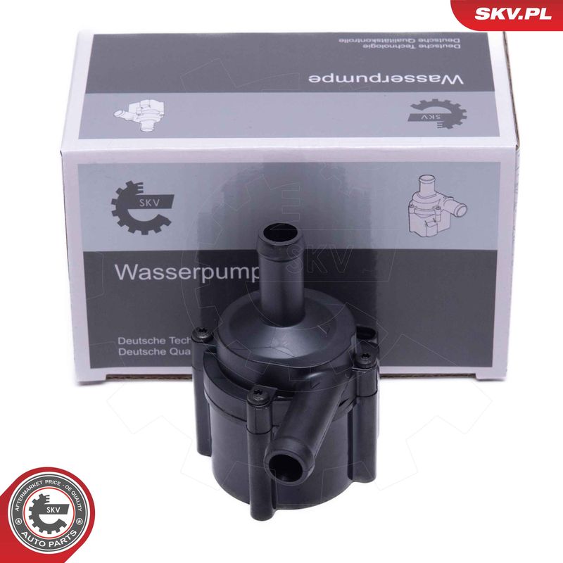 ESEN SKV 22SKV067 Auxiliary Water Pump (cooling water circuit)