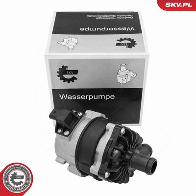 Auxiliary Water Pump (cooling water circuit) ESEN SKV 22SKV074