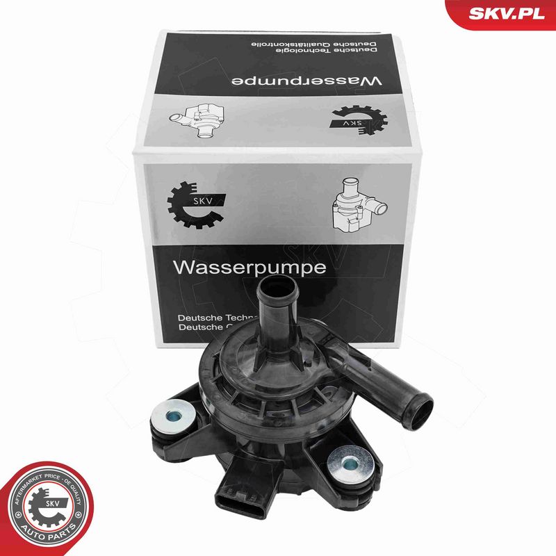 ESEN SKV 22SKV080 Auxiliary Water Pump (cooling water circuit)