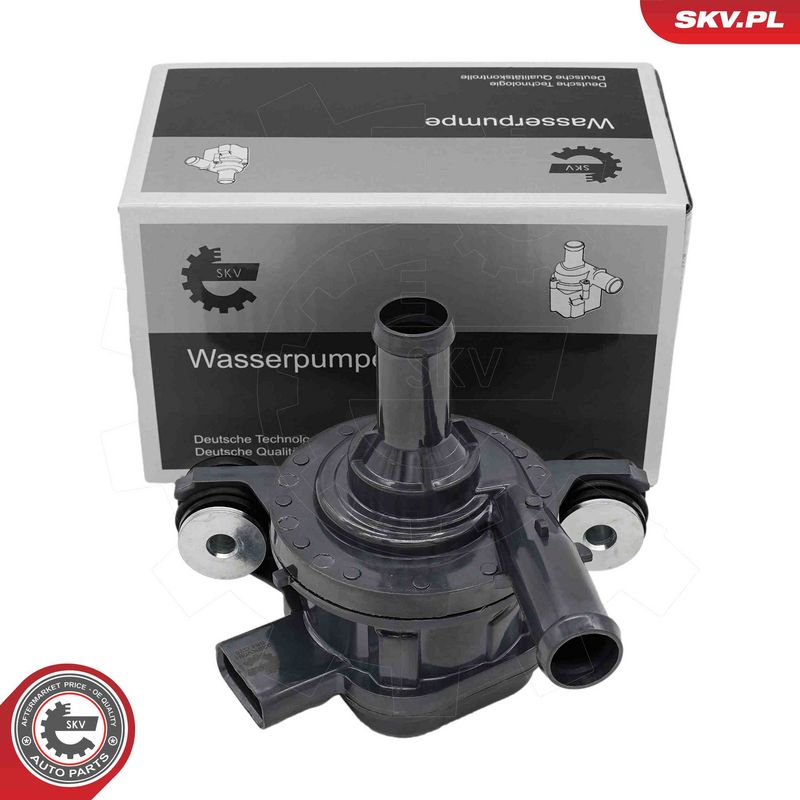 ESEN SKV 22SKV081 Auxiliary Water Pump (cooling water circuit)