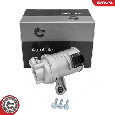 Water Pump, engine cooling ESEN SKV 22SKV090