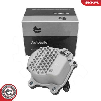 Water Pump, engine cooling ESEN SKV 22SKV092