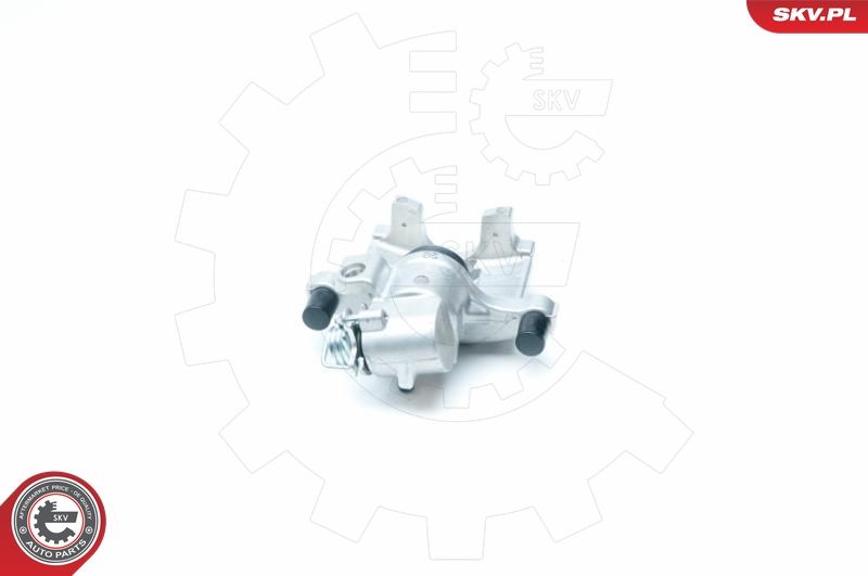 ESEN SKV 23SKV223 Brake Caliper