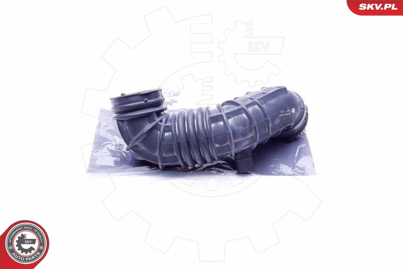 ESEN SKV 24SKV484 Intake Hose, air filter