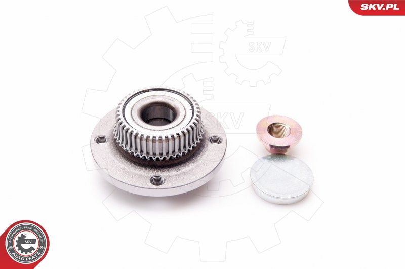 ESEN SKV 29SKV012 Wheel Bearing Kit