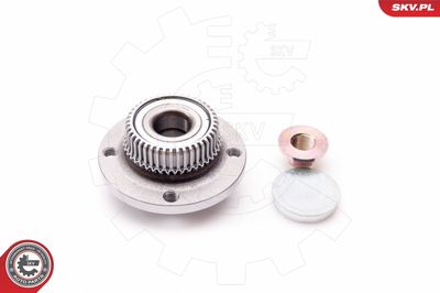 Wheel Bearing Kit ESEN SKV 29SKV012