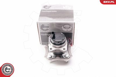 Wheel Bearing Kit ESEN SKV 29SKV020