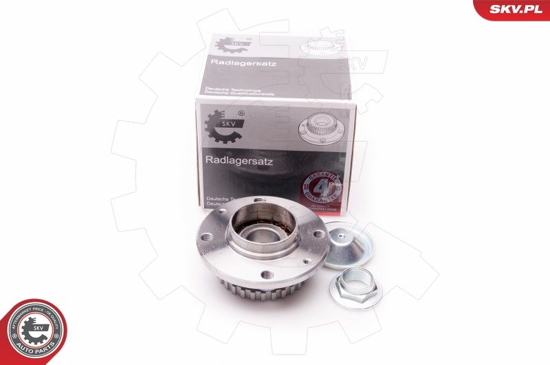 ESEN SKV 29SKV025 Wheel Bearing Kit