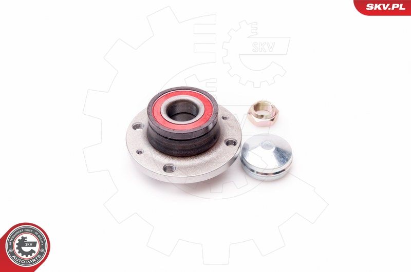 ESEN SKV 29SKV038 Wheel Bearing Kit