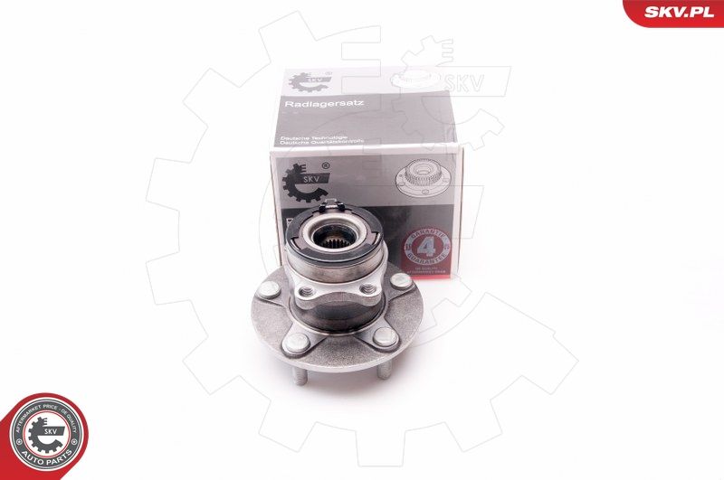 ESEN SKV 29SKV049 Wheel Bearing Kit