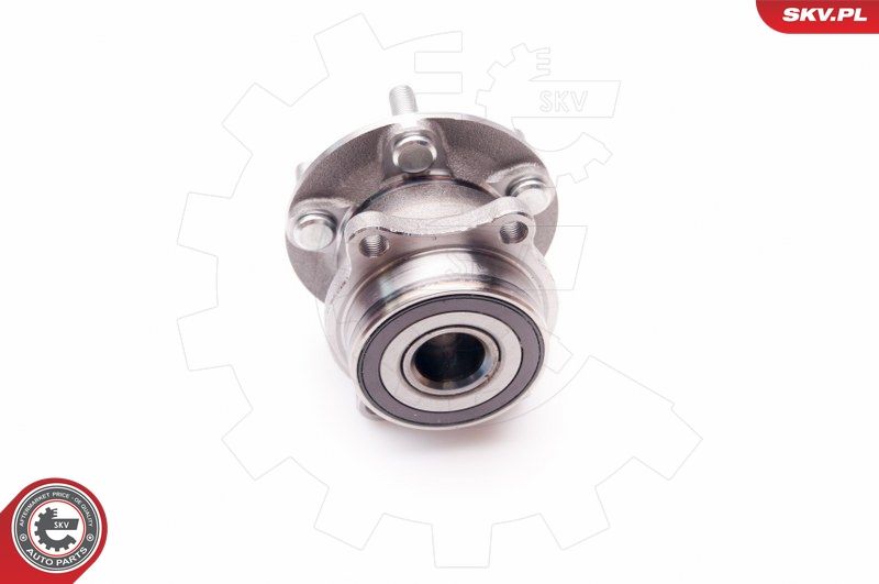 ESEN SKV 29SKV059 Wheel Bearing Kit
