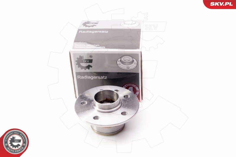 ESEN SKV 29SKV074 Wheel Bearing Kit