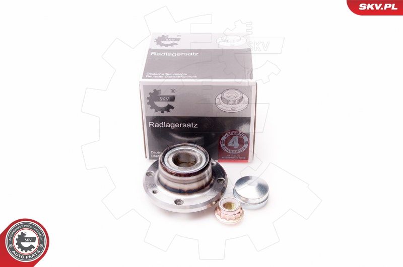 ESEN SKV 29SKV075 Wheel Bearing Kit