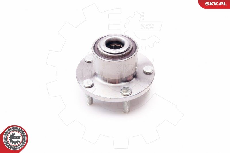 ESEN SKV 29SKV081 Wheel Bearing Kit