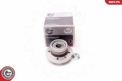 Wheel Bearing Kit ESEN SKV 29SKV102