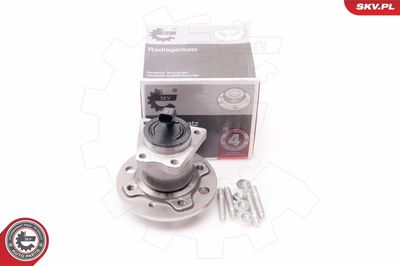 Wheel Bearing Kit ESEN SKV 29SKV113