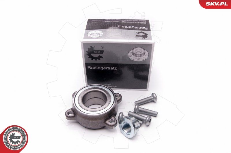 ESEN SKV 29SKV125 Wheel Bearing Kit