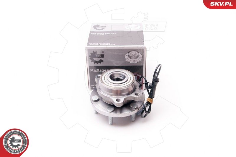 ESEN SKV 29SKV131 Wheel Bearing Kit