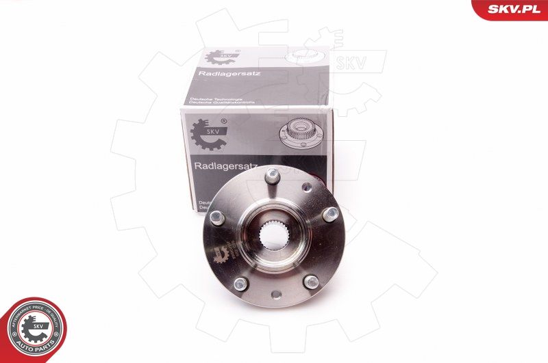 ESEN SKV 29SKV137 Wheel Bearing Kit