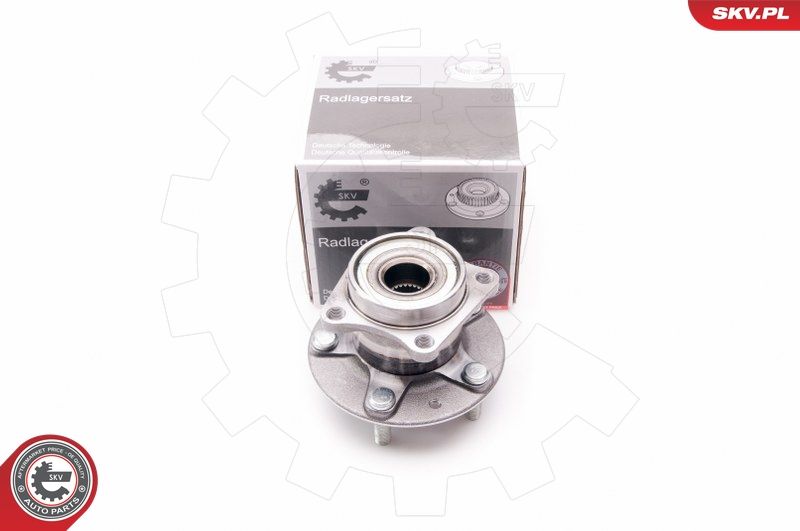 ESEN SKV 29SKV139 Wheel Bearing Kit