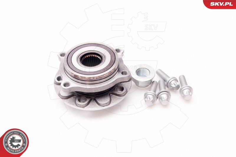 ESEN SKV 29SKV143 Wheel Bearing Kit