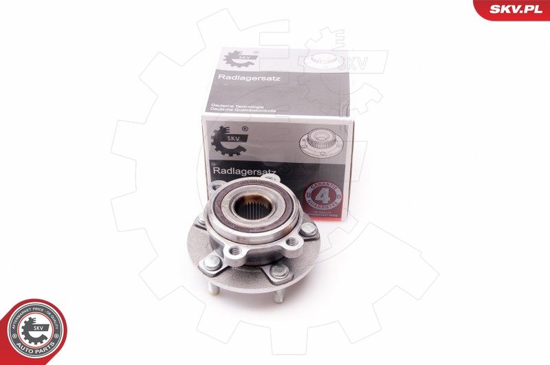 ESEN SKV 29SKV149 Wheel Bearing Kit
