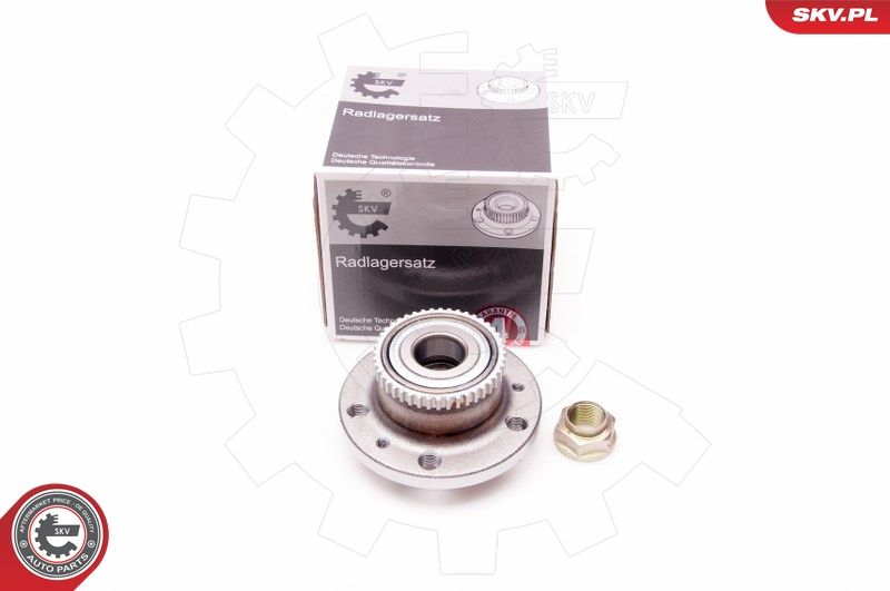 ESEN SKV 29SKV160 Wheel Bearing Kit