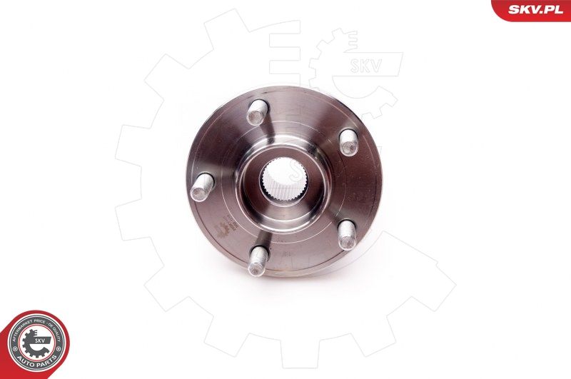 ESEN SKV 29SKV165 Wheel Bearing Kit