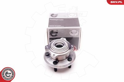 Wheel Bearing Kit ESEN SKV 29SKV168