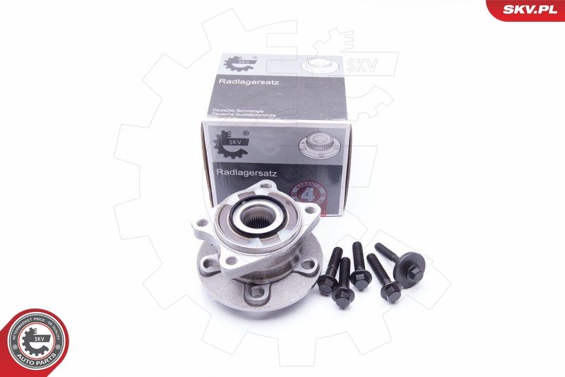 ESEN SKV 29SKV175 Wheel Bearing Kit