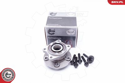 Wheel Bearing Kit ESEN SKV 29SKV175