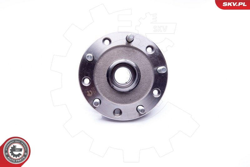 ESEN SKV 29SKV178 Wheel Bearing Kit
