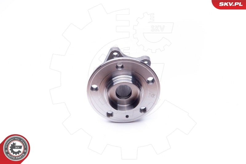 ESEN SKV 29SKV179 Wheel Bearing Kit
