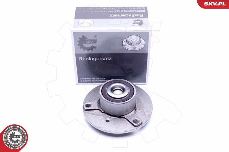 ESEN SKV 29SKV189 Wheel Bearing Kit