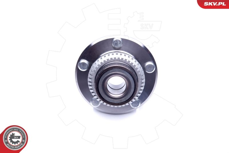 ESEN SKV 29SKV193 Wheel Bearing Kit