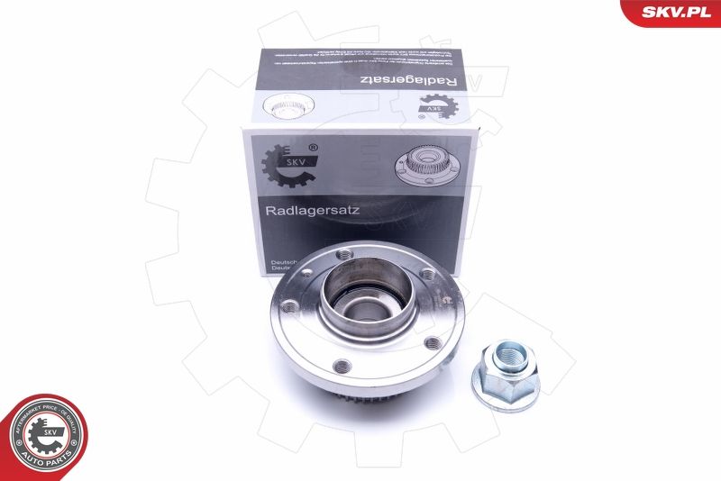ESEN SKV 29SKV198 Wheel Bearing Kit