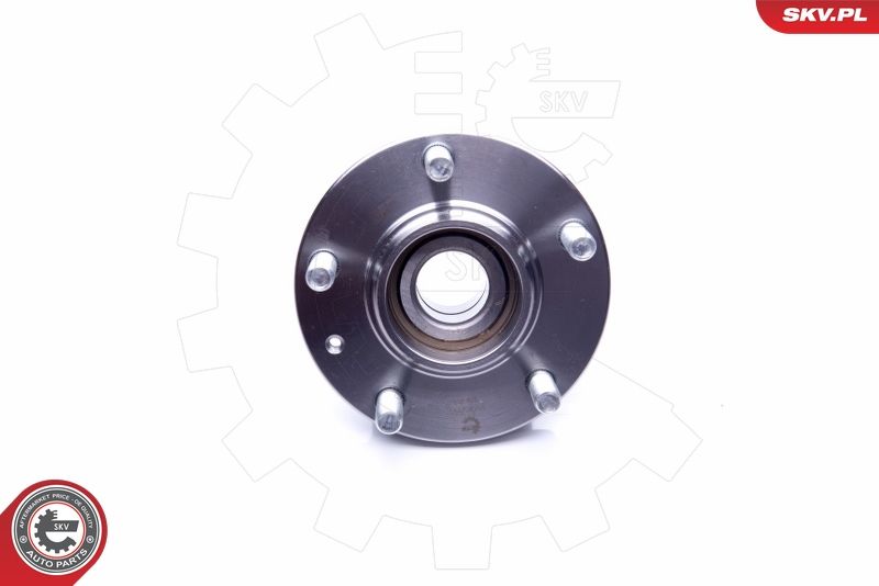 ESEN SKV 29SKV199 Wheel Bearing Kit