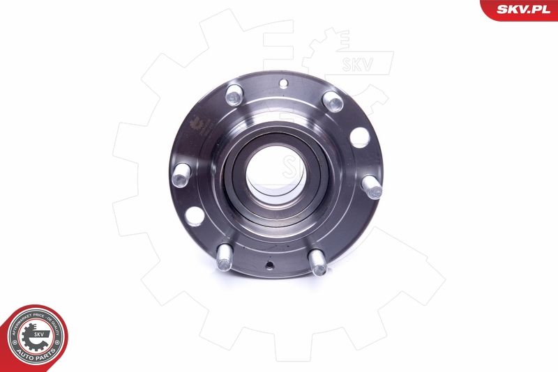 ESEN SKV 29SKV206 Wheel Bearing Kit