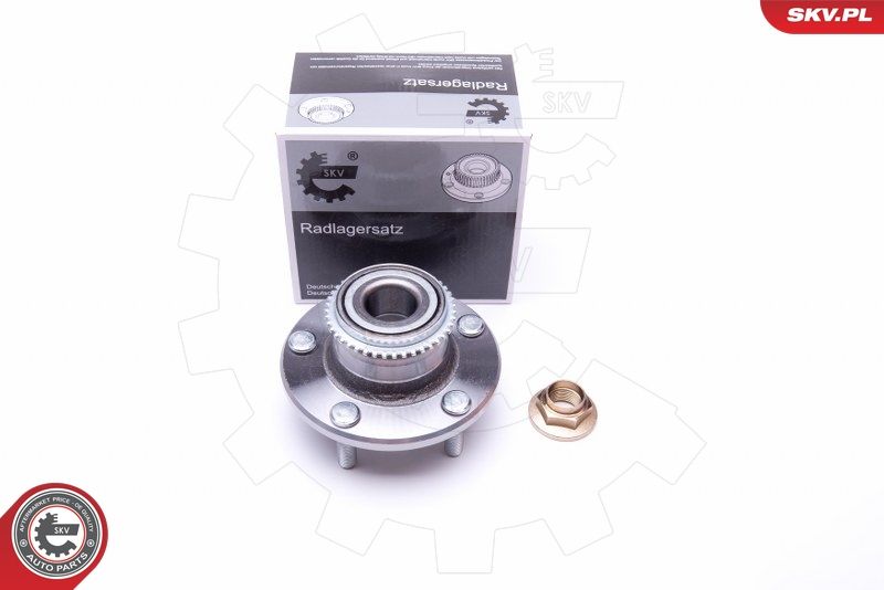 ESEN SKV 29SKV219 Wheel Bearing Kit