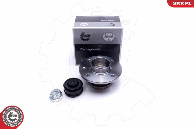 ESEN SKV 29SKV224 Wheel Bearing Kit