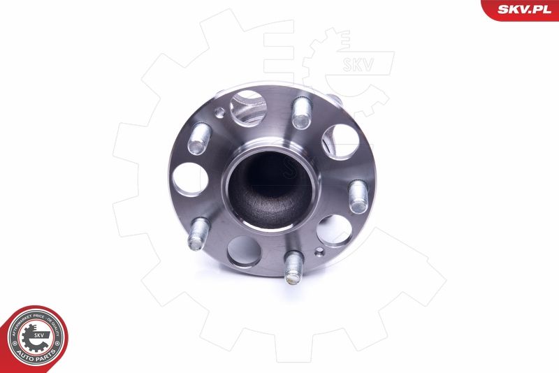 ESEN SKV 29SKV239 Wheel Bearing Kit