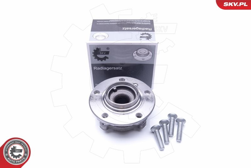 ESEN SKV 29SKV254 Wheel Bearing Kit