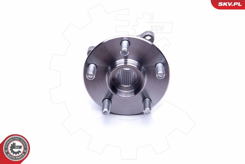 ESEN SKV 29SKV255 Wheel Bearing Kit