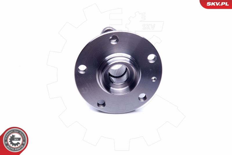 ESEN SKV 29SKV264 Wheel Bearing Kit