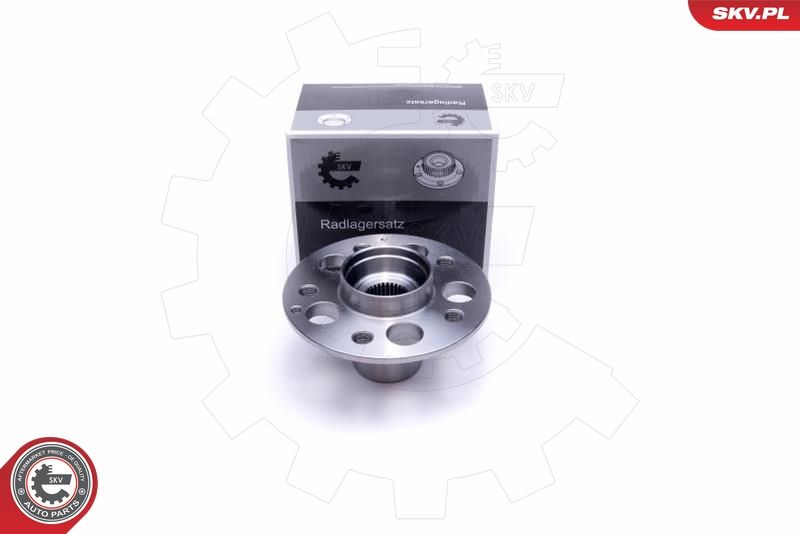 ESEN SKV 29SKV284 Wheel Bearing Kit