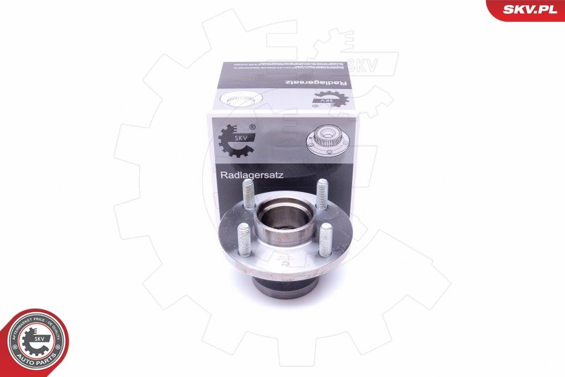 ESEN SKV 29SKV296 Wheel Bearing Kit