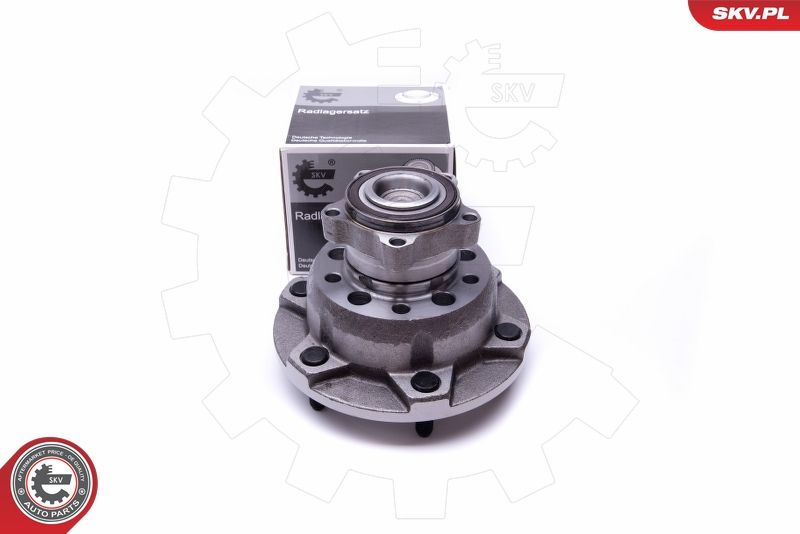 ESEN SKV 29SKV298 Wheel Bearing Kit