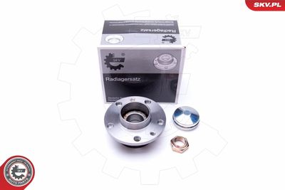 Wheel Bearing Kit ESEN SKV 29SKV300